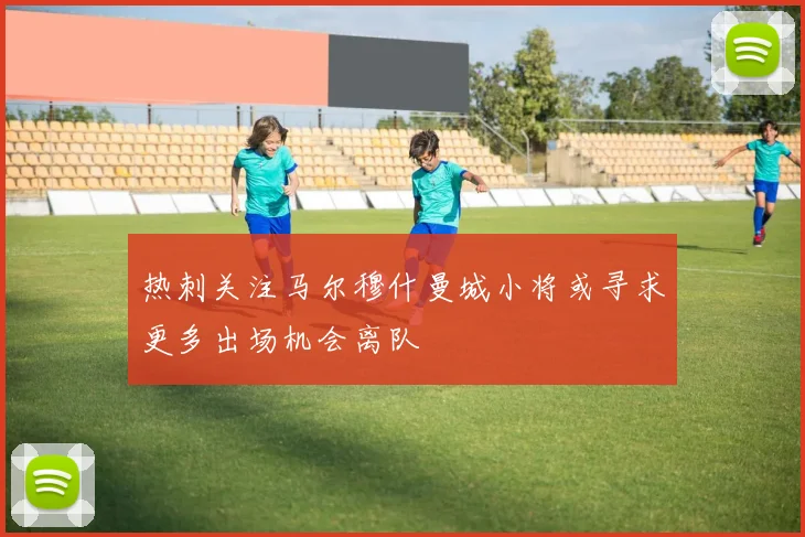 热刺关注马尔穆什曼城小将或寻求更多出场机会离队